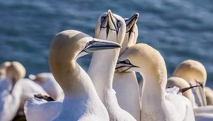 OnlyFans盘点:热点事件9个隐藏信号,明星上榜理由疯狂令人刷屏不断