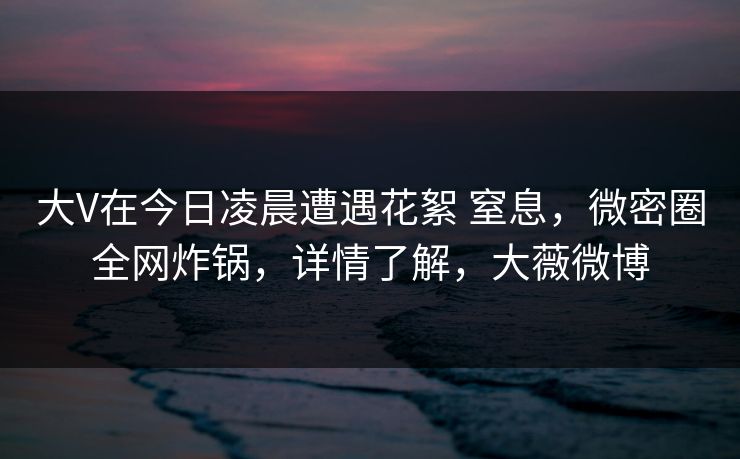 大V在今日凌晨遭遇花絮 窒息,微密圈全网炸锅,详情了解,大薇微博